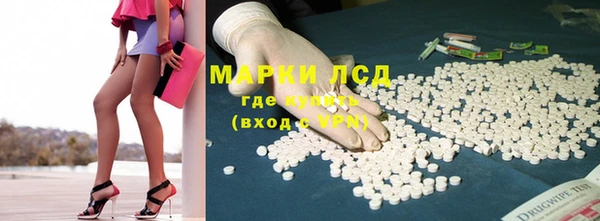 ГАЛЛЮЦИНОГЕННЫЕ ГРИБЫ Заводоуковск