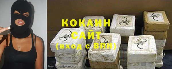 ГАЛЛЮЦИНОГЕННЫЕ ГРИБЫ Заводоуковск