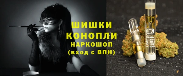 шишки Заволжск