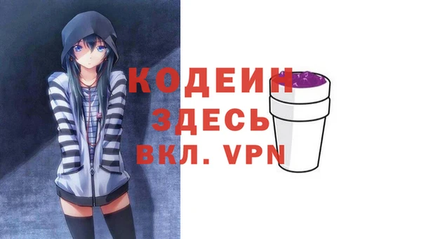 шишки Заволжск