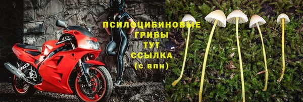 шишки Заволжск