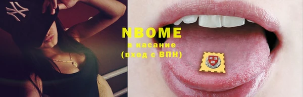 шишки Заволжск