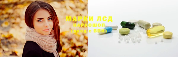ГАЛЛЮЦИНОГЕННЫЕ ГРИБЫ Заводоуковск