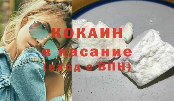 шишки Заволжск
