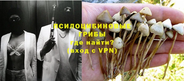 шишки Заволжск
