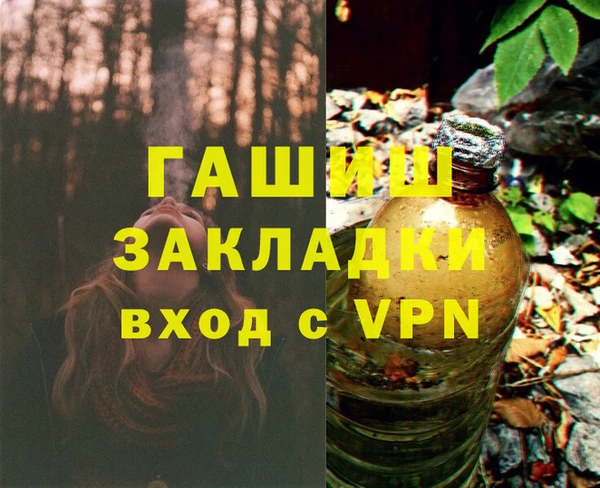 шишки Заволжск