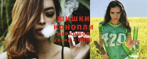 шишки Заволжск