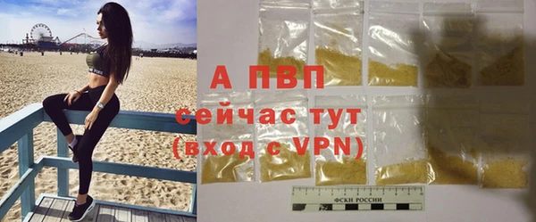 ГАЛЛЮЦИНОГЕННЫЕ ГРИБЫ Заводоуковск