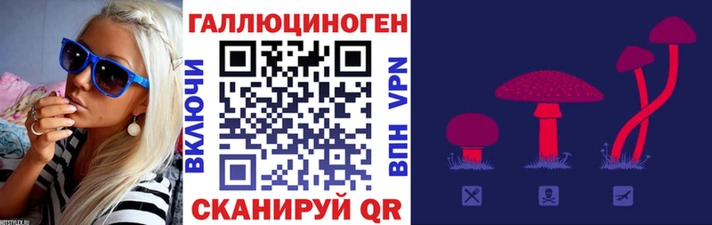 Галлюциногенные грибы ЛСД Купить где Венёв